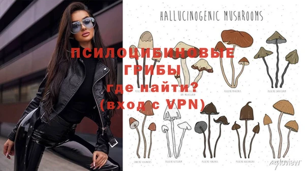 винт Баксан