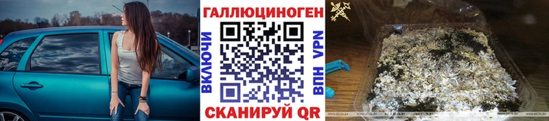 продажа наркотиков  Светогорск  Псилоцибиновые грибы Psilocybine cubensis 